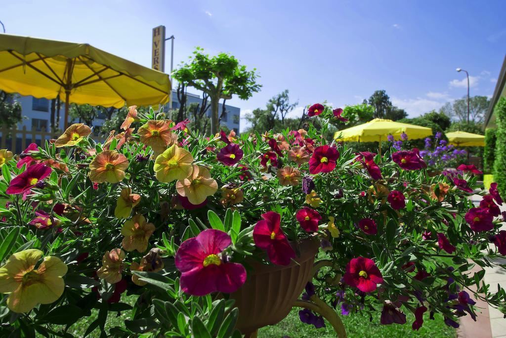 Hotel Versilia Lido di Camaiore Kültér fotó